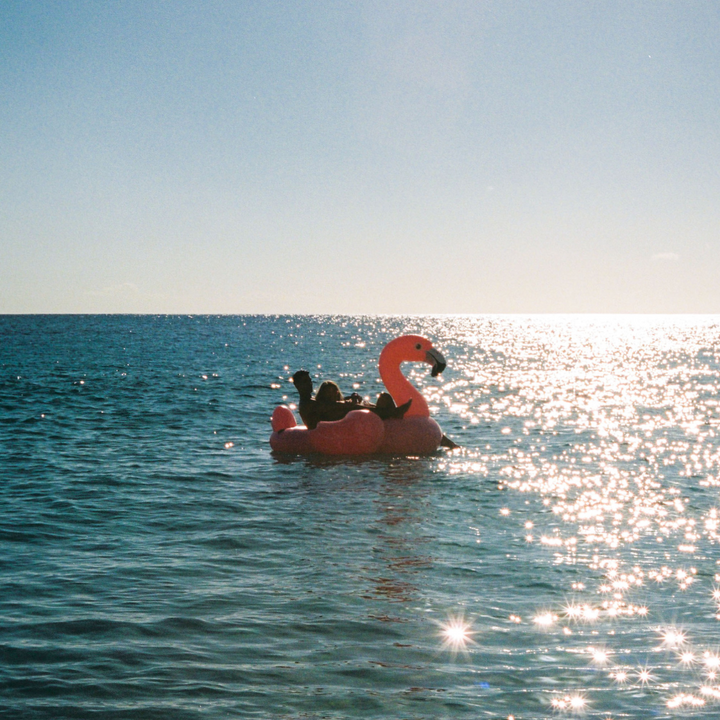 Intex Mega Flamingo Inflatable Pool Island Float
