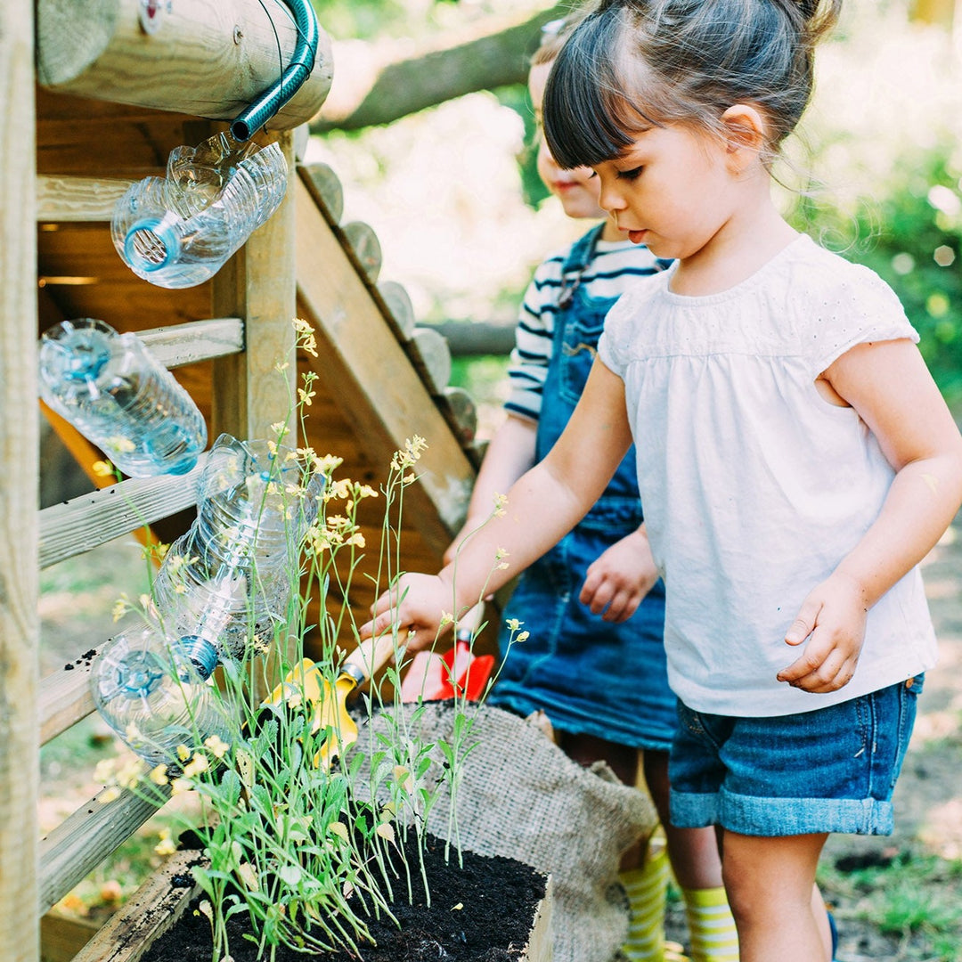 Plum Woodland Treehouse with Slide