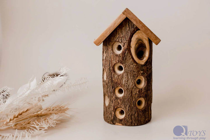 Qtoys Ladybug House