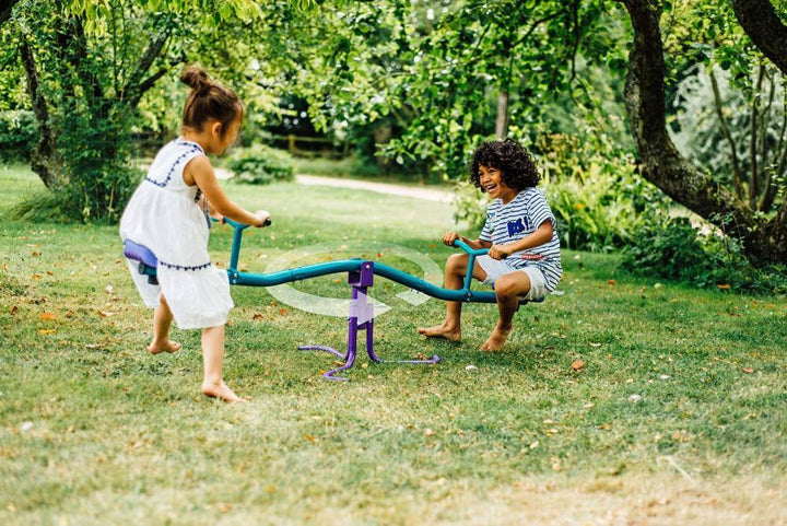 Plum® Rotating See Saw  - Teal /Purple