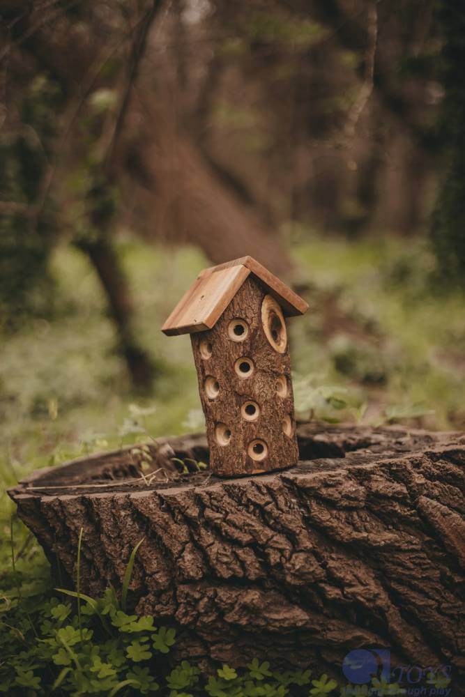 Ladybug House