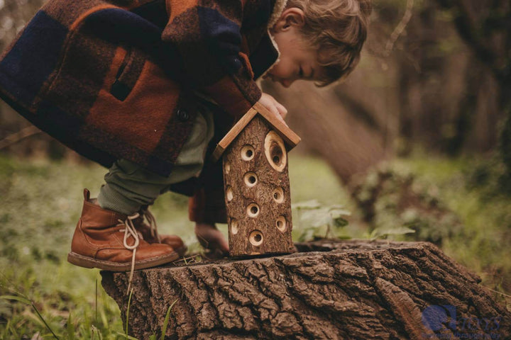 Ladybug House