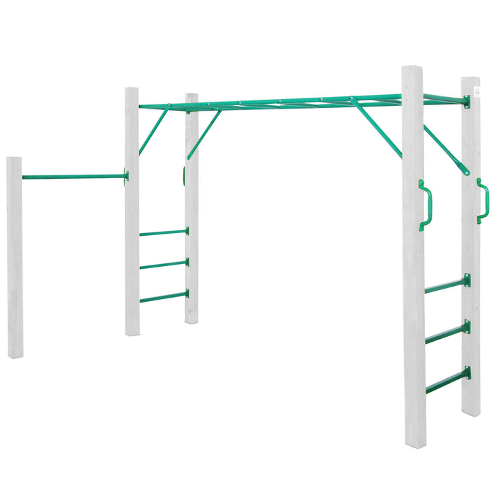 Amazon Monkey Bar (Bars Only) - Lifespan Kids