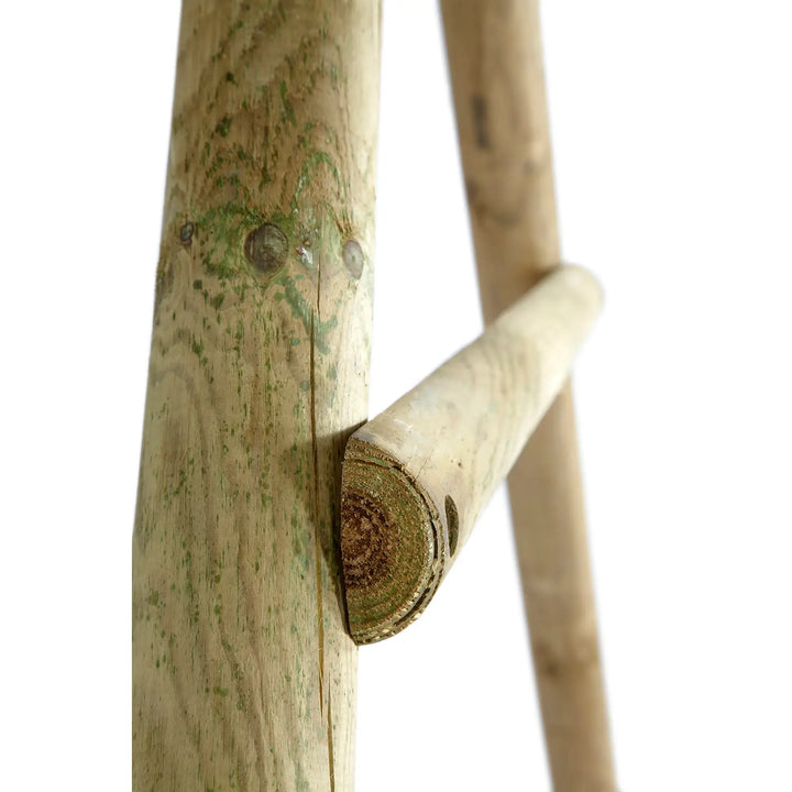 Plum Gibbon Wooden Swing Set