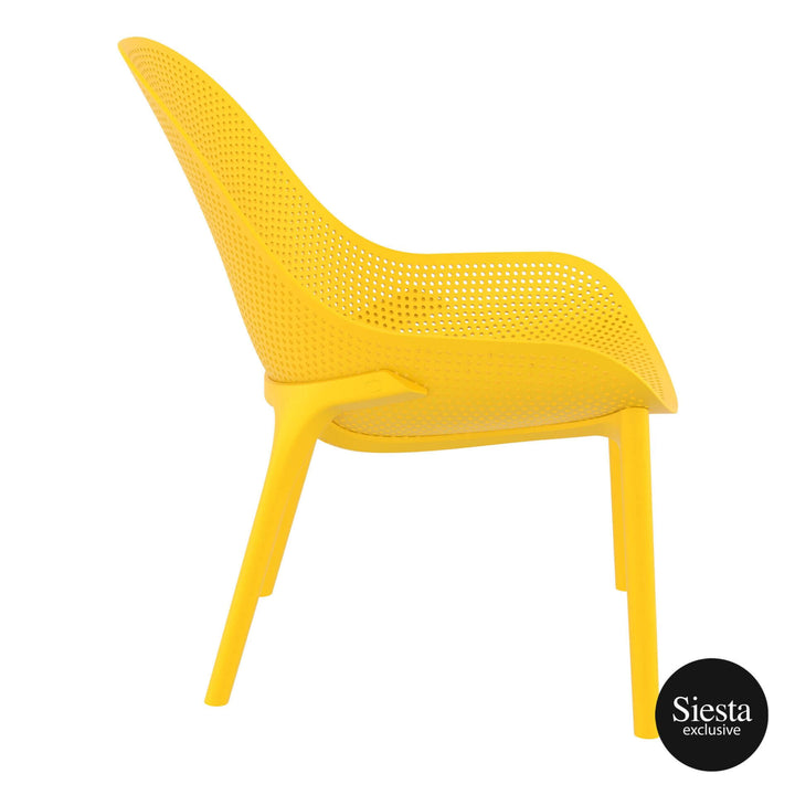 Sky Lounge Chair by Siesta
