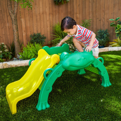 Hop & Slide Frog Climber - The  Best Backyard