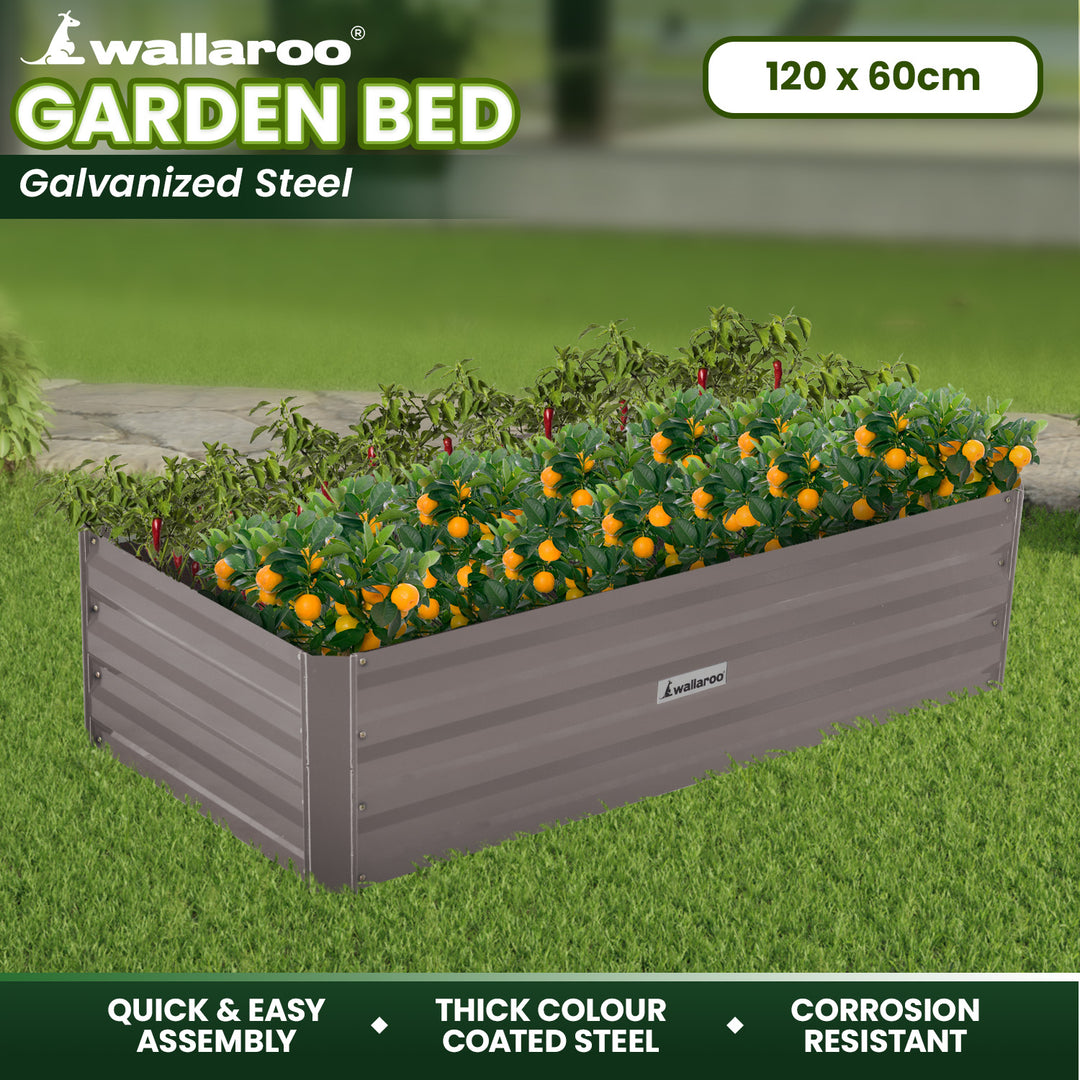 Wallaroo 120 x 60 x 30cm Garden Bed - Galvanized Steel - Grey