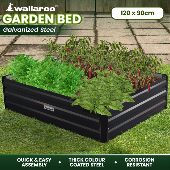 Wallaroo Garden Bed 120 x 90 x 30cm Galvanized Steel - Black